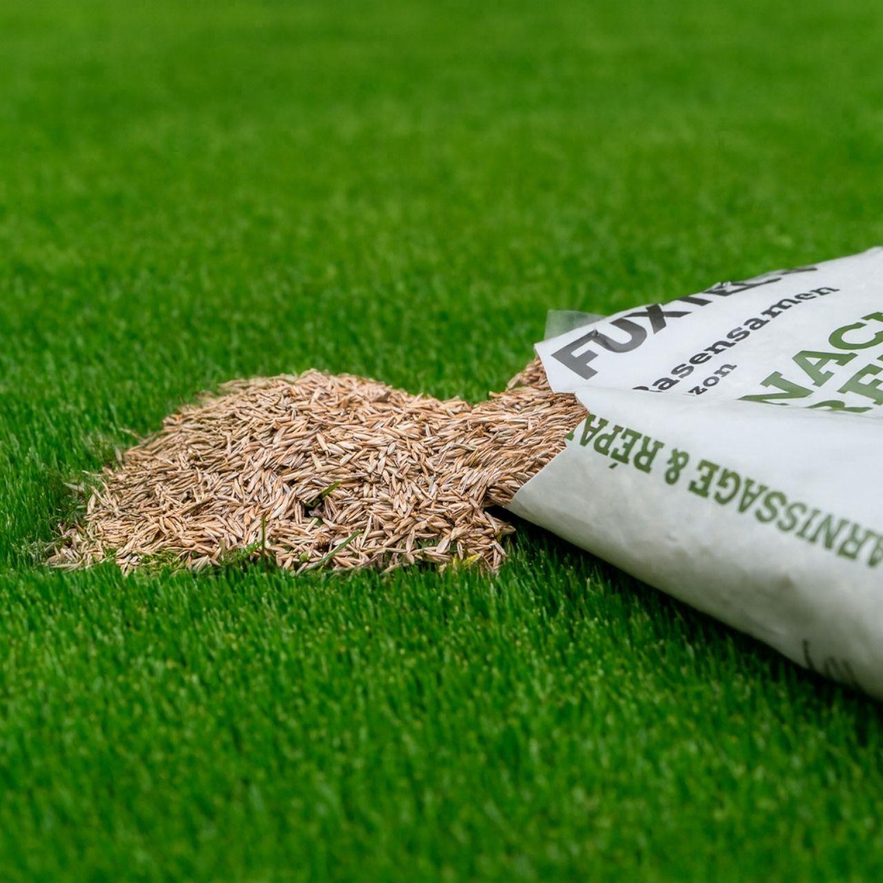 FUXTEC Rasensamen FX-RSNR1 Nachsaat & Reparatur