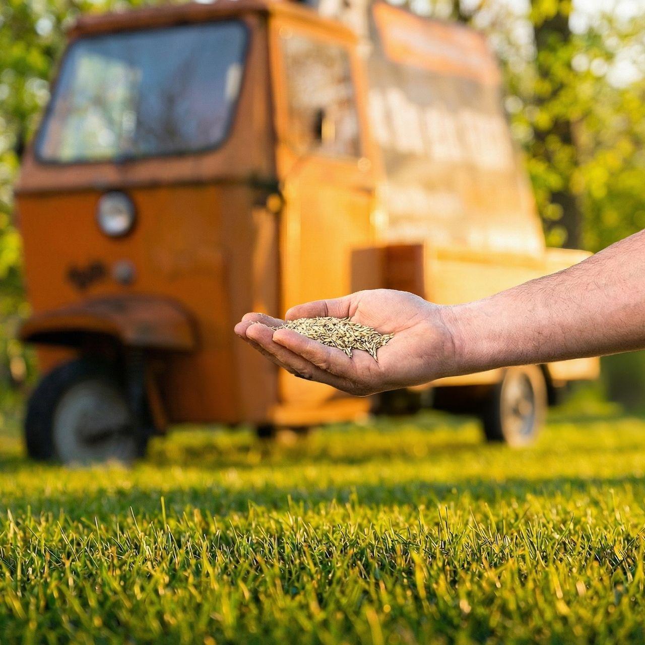 FUXTEC sementi per prato FX-RSSP1 1kg tappeto erboso per giochi e sport