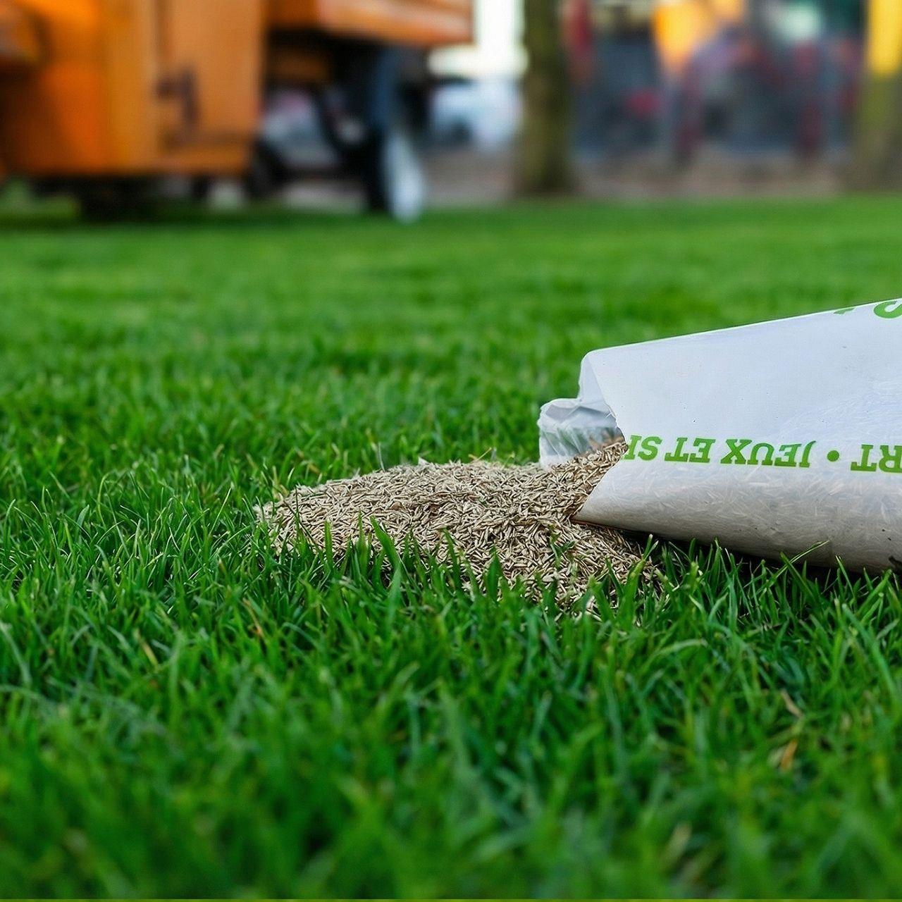 FUXTEC sementi per prato FX-RSSP1 1kg tappeto erboso per giochi e sport